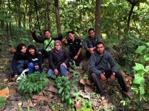 bubulan 2