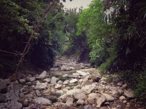 bubulan 4